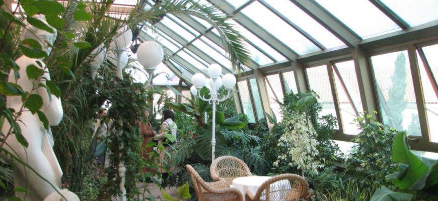 Зимний сад в квартире: условия и особенности обустройства