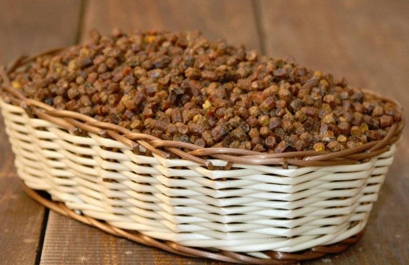 Пчелиная перга: полезные свойства, как принимать