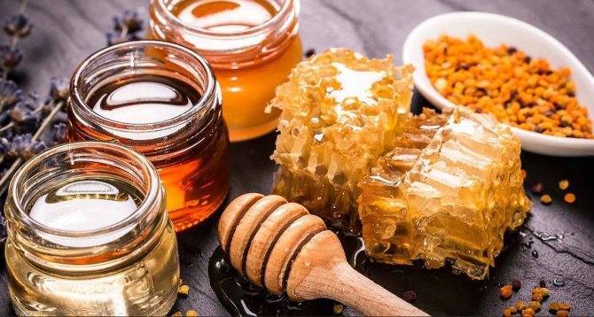 Разновидности продуктов пчеловодства, все полезные свойства и правила применения для повышения иммунитета и при лечении
