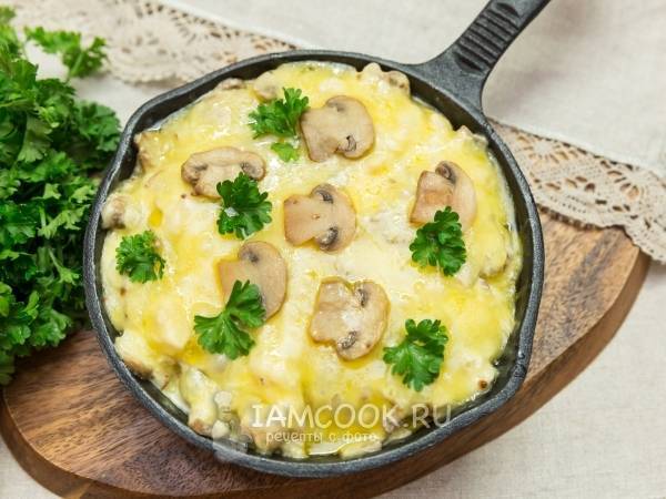 Жульен из курицы с грибами на сковороде: рецепты со сливками и со сметаной