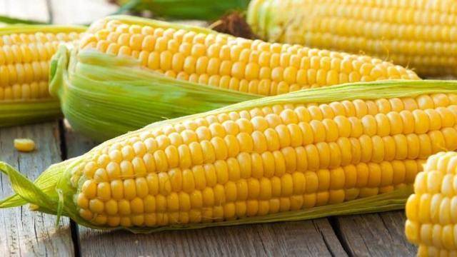 Можно ли сделать попкорн из обычной кукурузы. попкорн в домашних условиях из кукурузы на сковороде