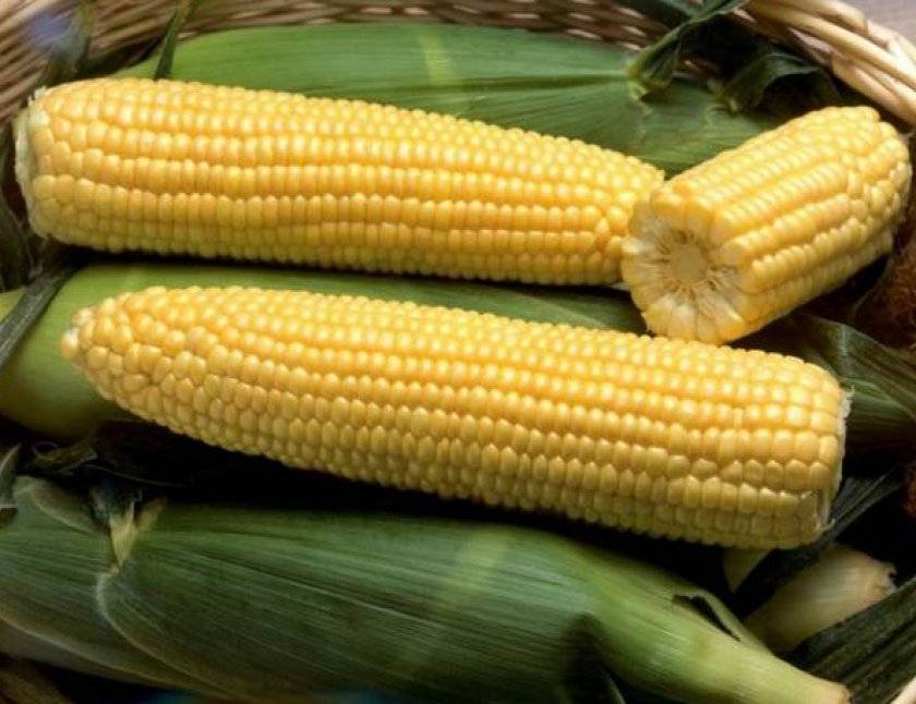 Особенности приготовления вкусных лакомств своими руками: как сделать попкорн из кукурузы в домашних условиях?