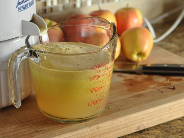 Яблочный сок через соковыжималку в домашних условиях на зиму - 5 рецептов с фото пошагово