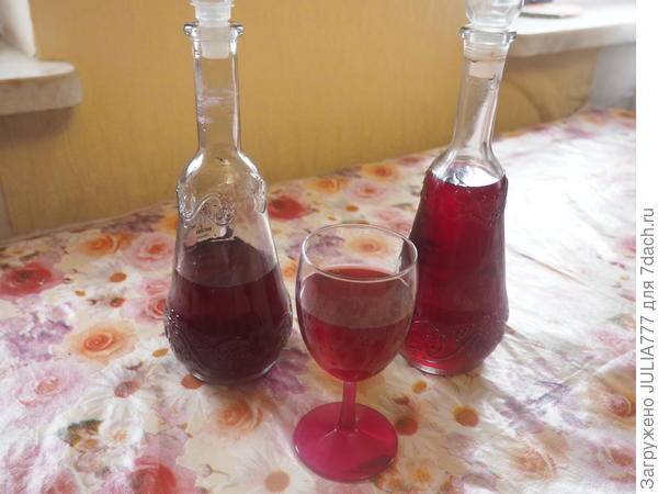 Вино из йошты (гибрида черной смородины и крыжовника)