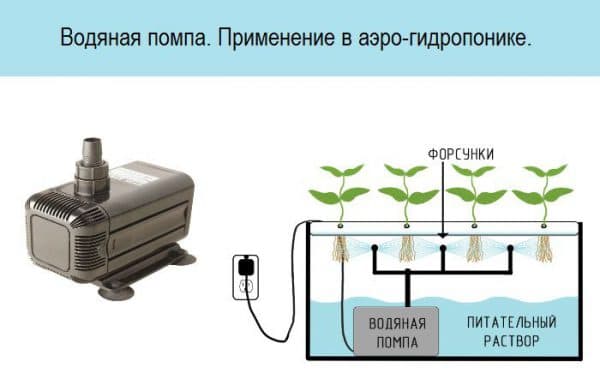 Садоводство: использование гидропоники и минеральной ваты для растений