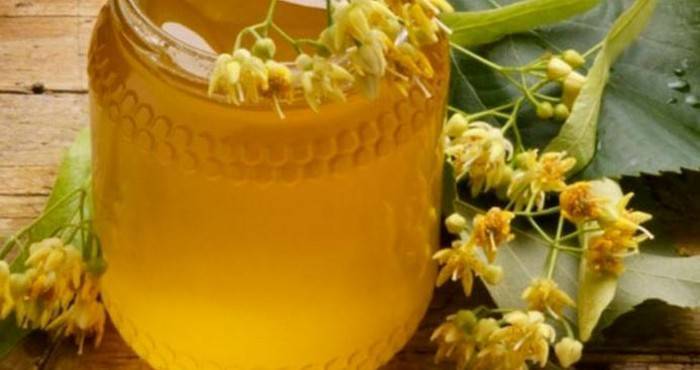 Липовый мед: лечебные свойства и противопоказания