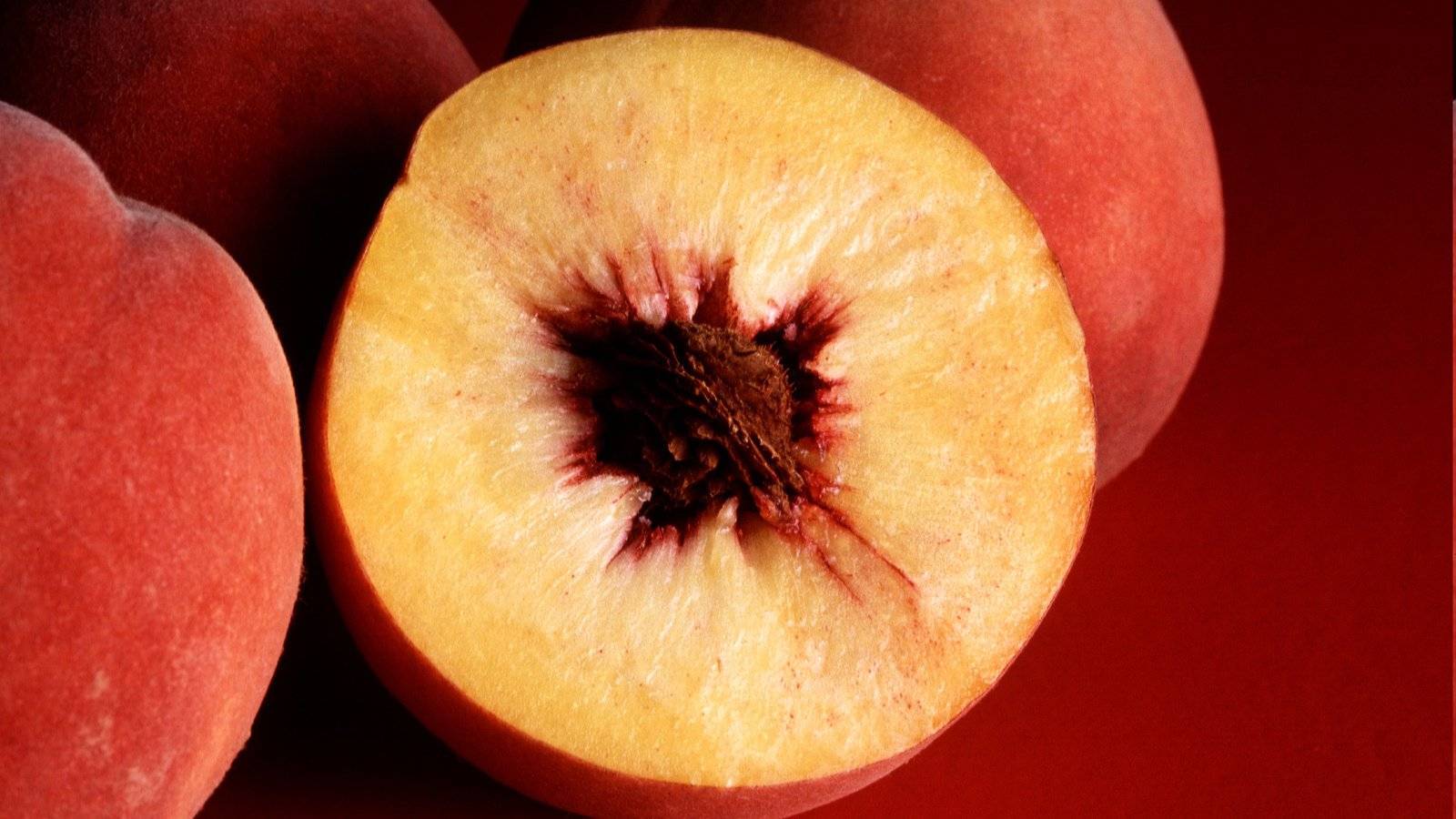 8 условий для хорошего роста персика в средней полосе