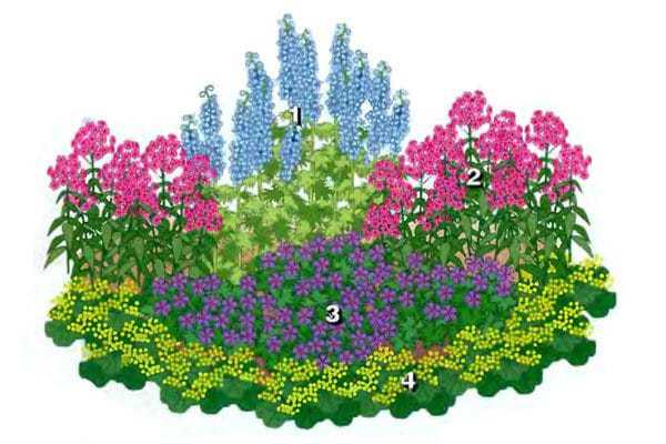 Подборка схем посадки цветников из однолетников и многолетников