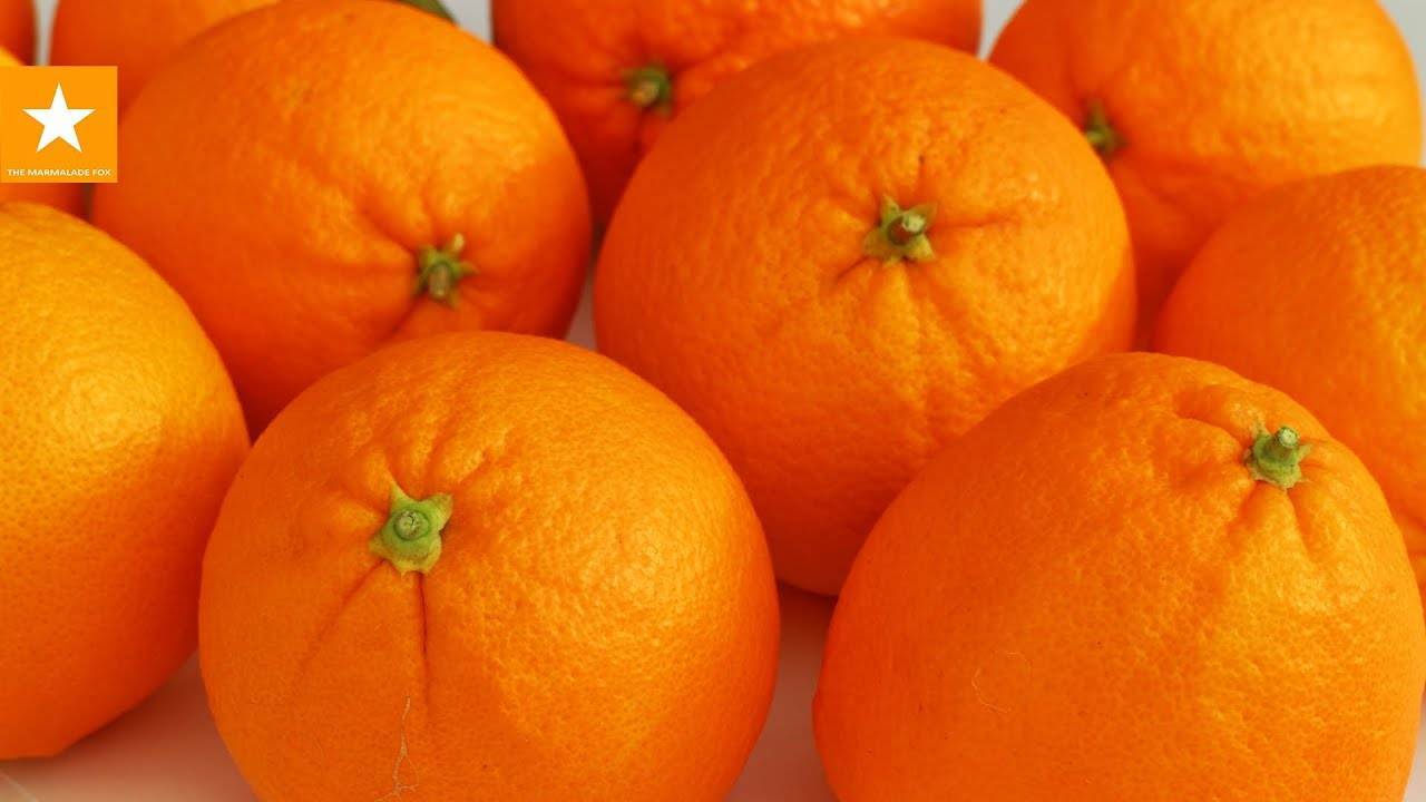 Популярные рецепты с фото варенья из апельсинов