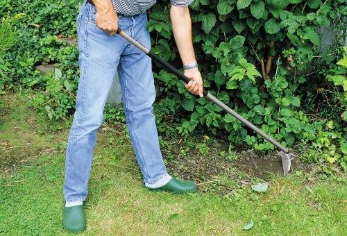 10 обязательных инструментов для работы в саду