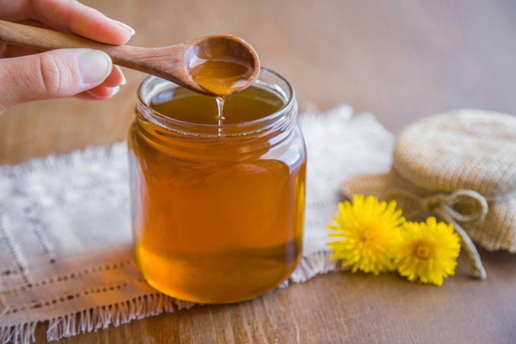 Мед из одуванчика — чем полезен и как приготовить в домашних условиях