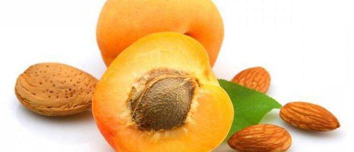 Польза и вред абрикосовых косточек