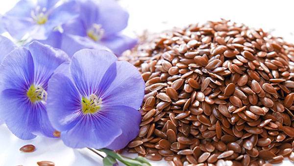 Стоит ли использовать семена льна для похудения?