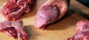 Мясо нутрии: целебные свойства и противопоказания