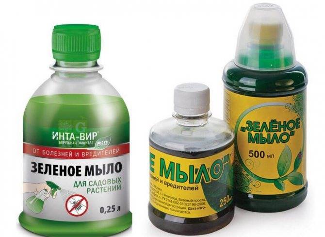 Фунгицид зеленое мыло: инструкция по применению препарата, хранение, совместимость