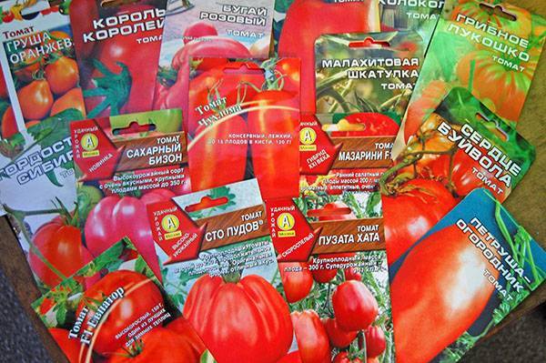 Популярные в России производители лучших сортовых семян