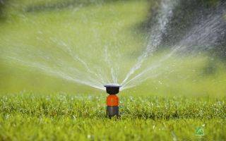 Система полива газона: описание, как сделать своими руками