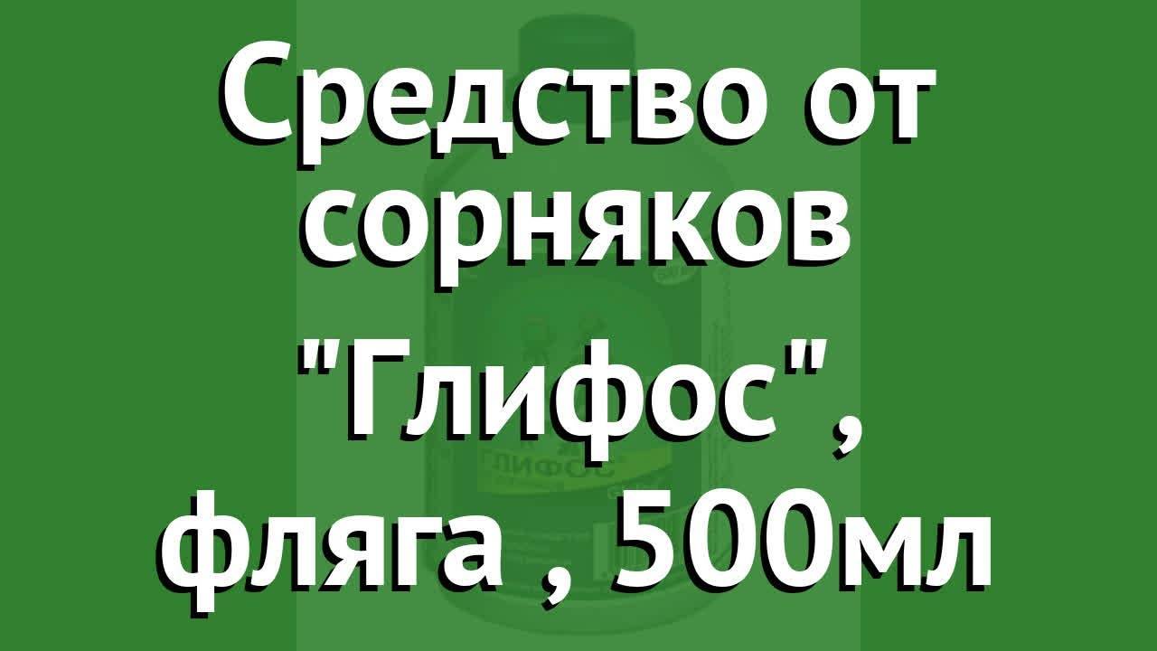 Уничтожение сорняков на огороде: методы борьбы и профилактики