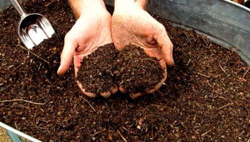 Как приготовить грунт и субстрат для выращивания рассады