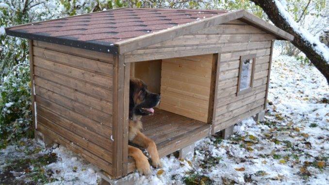 Будка для собаки своими руками: пошаговая инструкция как быстро и просто построить дом для собаки