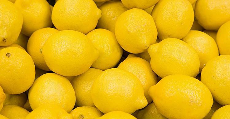 Чем полезен лимон для организма человека?