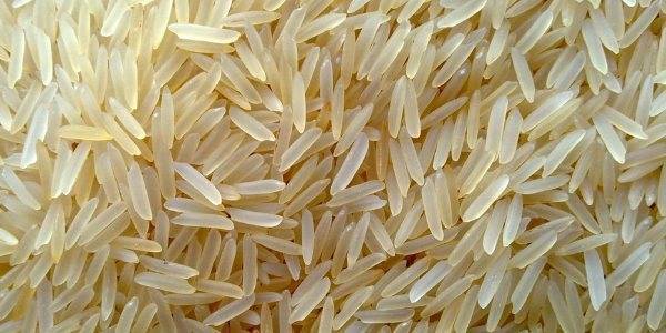 Виды риса и какой выбрать для плова или ризотто?