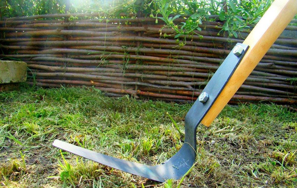 Чем заменить лопату на огороде? 7 полезных инструментов