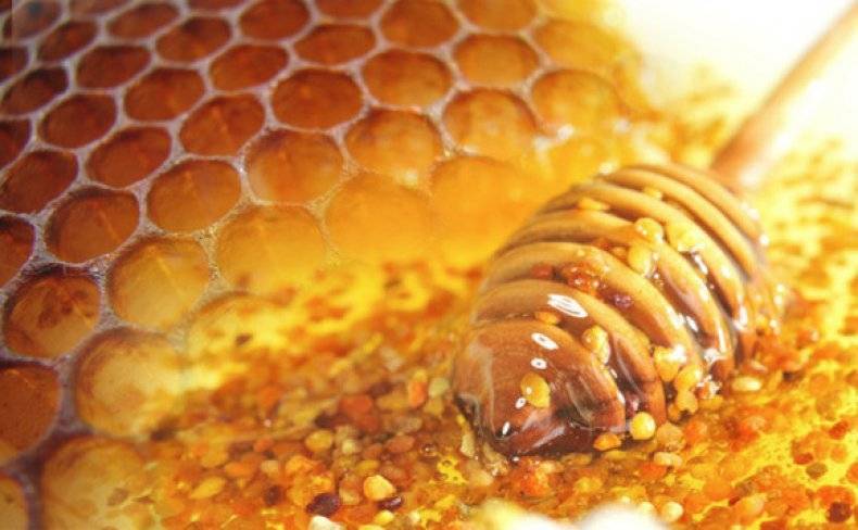 Чем полезен гречишный мед - как принимать, хранить, состав, видео