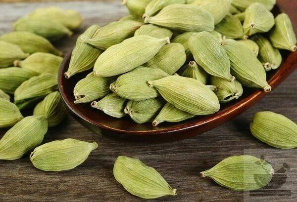 “кардамон: полезные свойства, применение в кулинарии и противопоказания к употреблению”