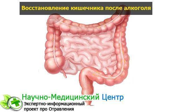 Какие симптомы при отравлении арбузом. симптомы и лечение отравления арбузом. симптомы отравления арбузом