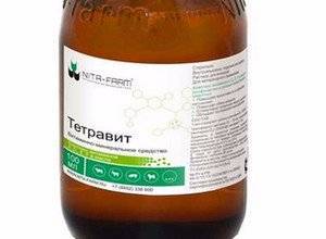 Тетравит - витаминный препарат для животных