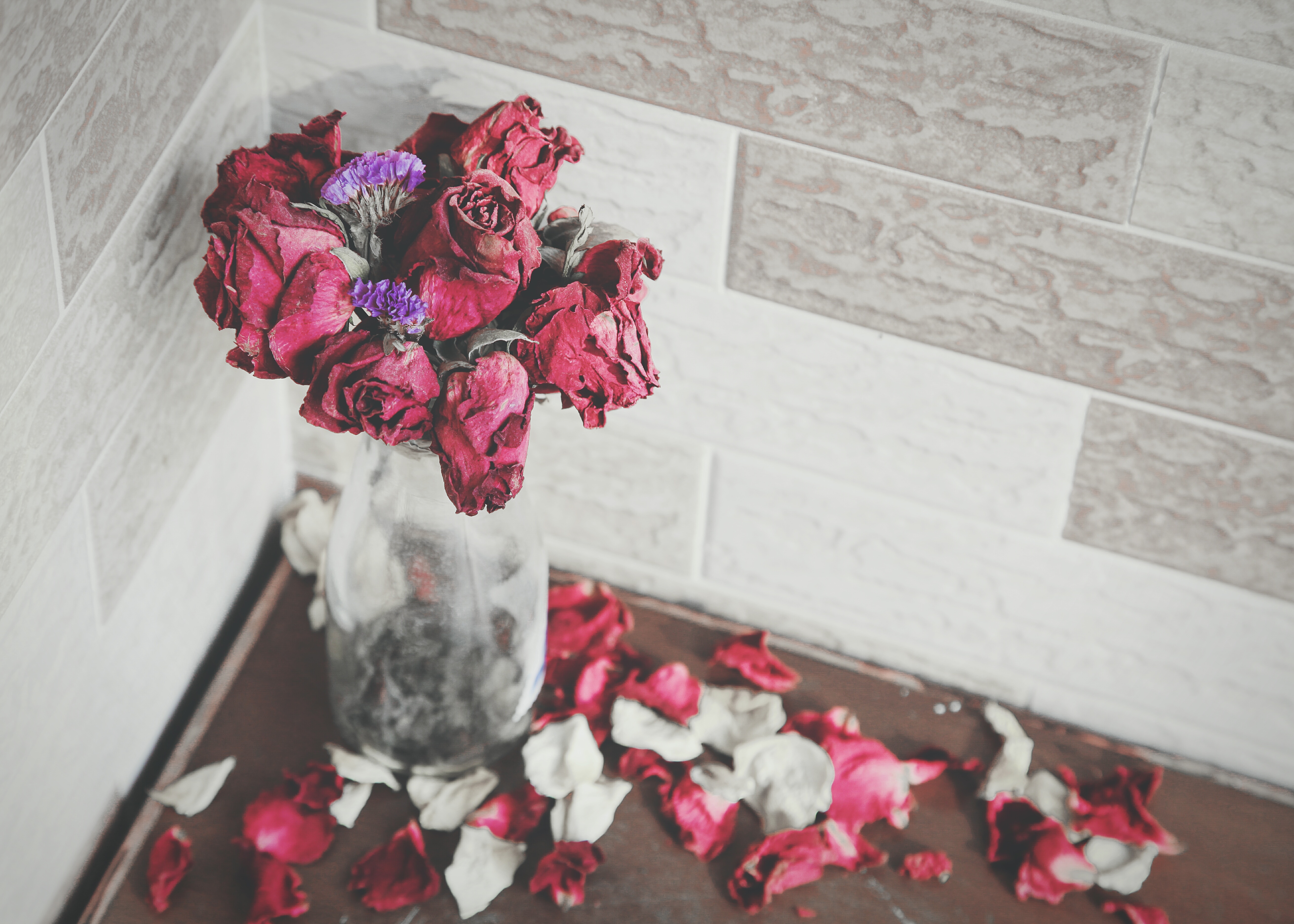 Как подольше сохранить срезанные розы в вазе