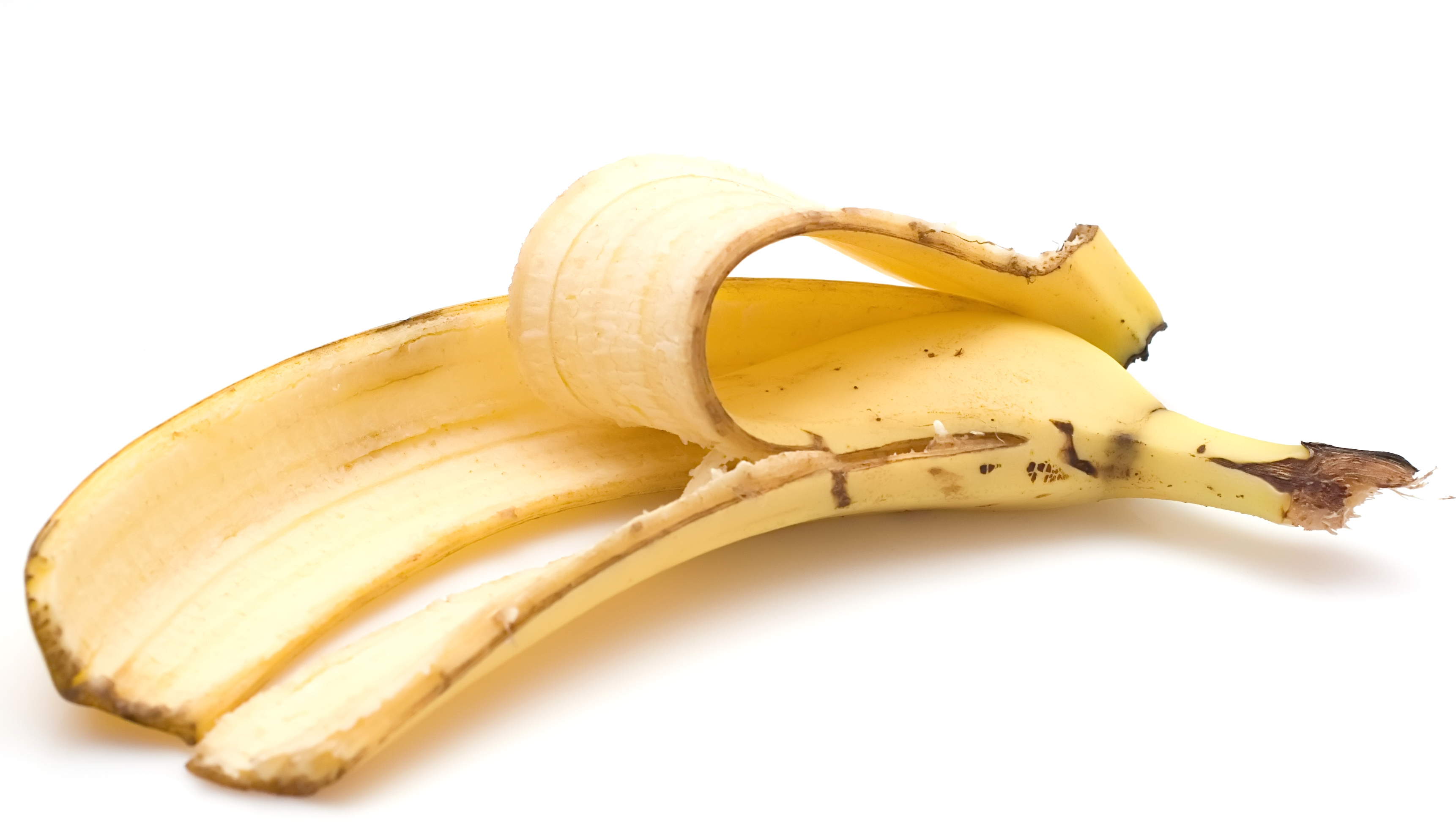 Банановая кожура для комнатных растений: рецепт приготовления