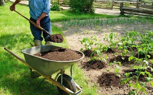 Топ самых полезных удобрений необходимых для огорода весной
