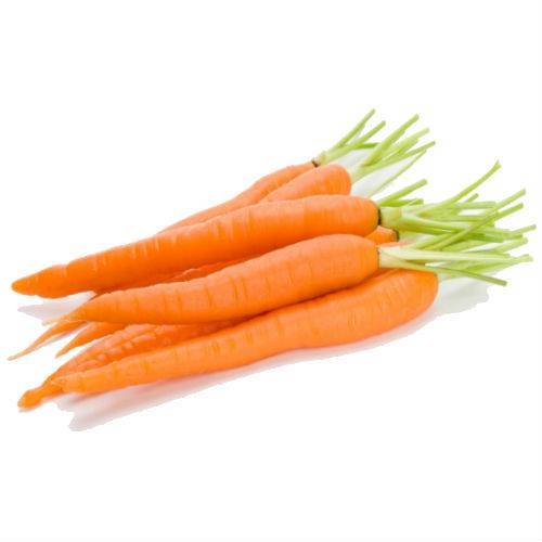 Чем полезна морковь, лечебные свойства и противопоказания