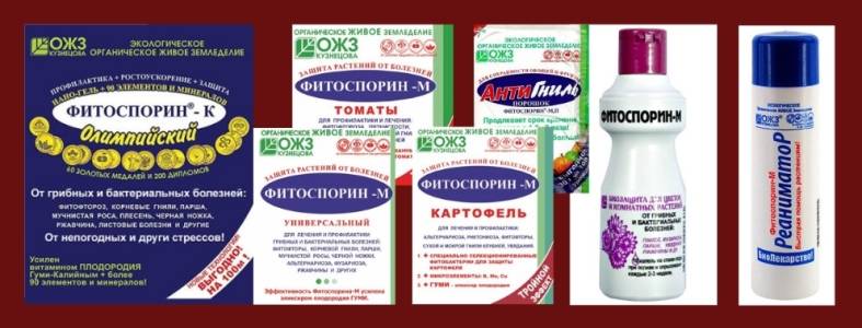 Битоксибациллин — инструкция по применению, дозировка, видео