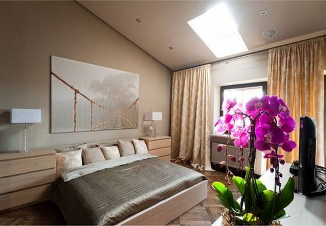 Цветы для спальни: ценные рекомендации по озеленению комнаты (23 фото)