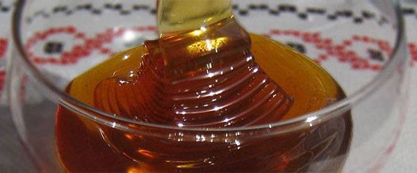 Мед из кориандра – сладость и опасность в пряном вкусе Востока