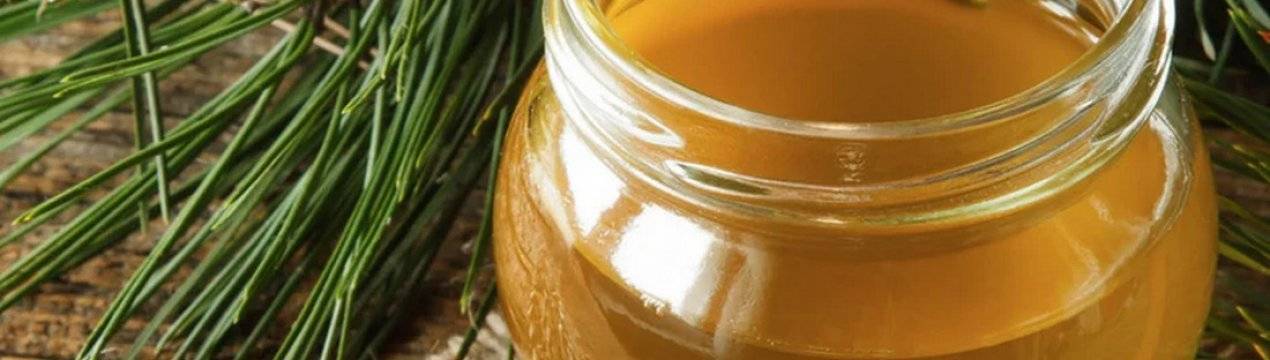 Как выбрать мед и как правильно его хранить