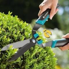 Как выбрать садовые ножницы для стрижки кустов, советы и рекомендации