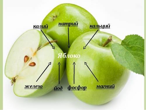 Яблоко полезные свойства и витаминный состав