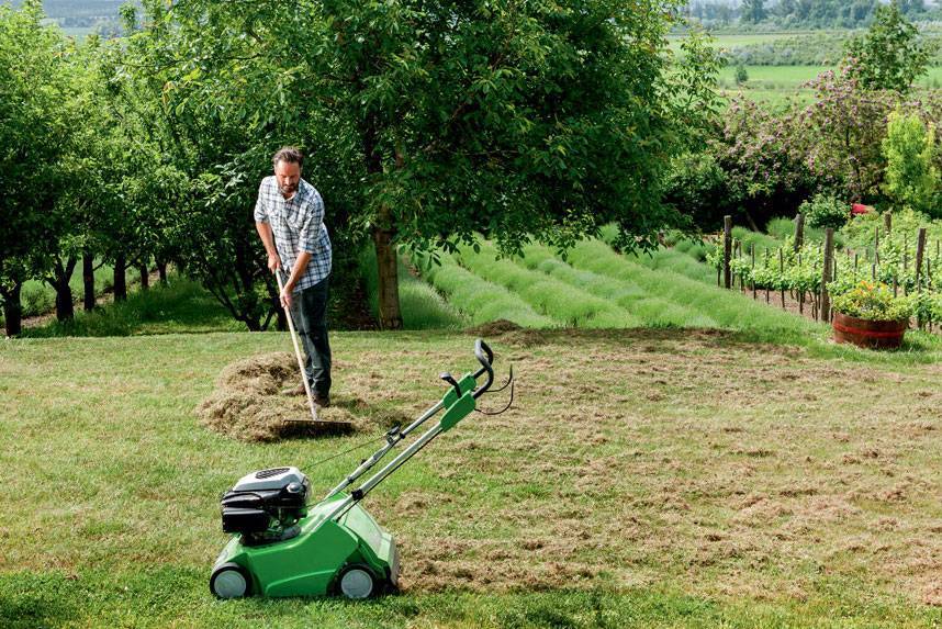 Как сеять газонную траву правильно — пошаговая инструкция с фото и видео
