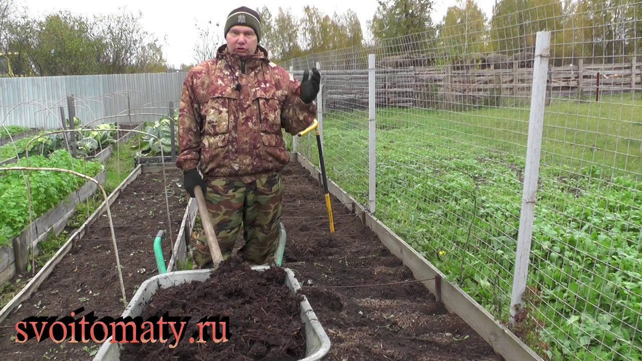 Как правильно подготовить почву и посадочную яму для яблони