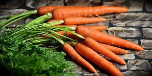 Творог с морковью польза