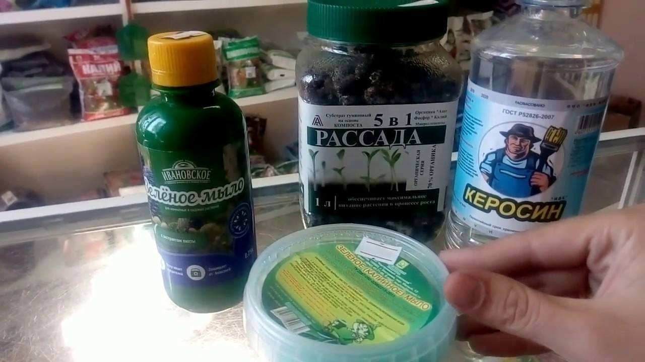 Применение зеленого мыла как метод борьбы с вредителями