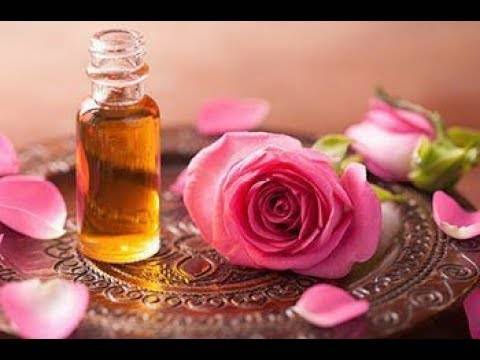 Полезные свойства розы: применение цветка в медицине, кулинарии и косметологии