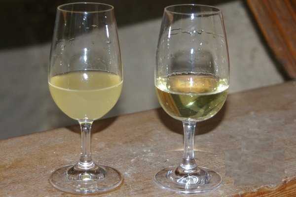 Как отфильтровать вино в домашних условиях от осадка