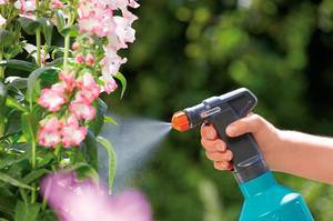Защита от опасных насекомых: применение карбофоса в садоводстве