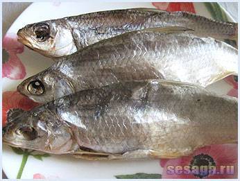 Соление и вяление рыбы в домашних условиях